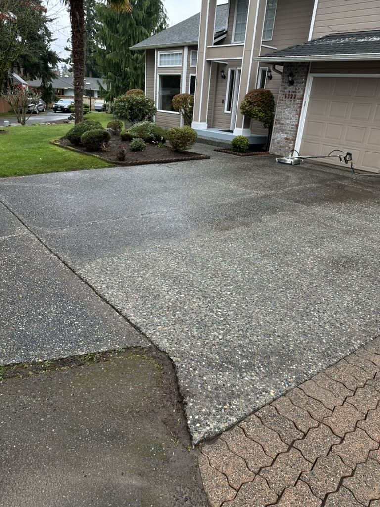 Driveway before professional pressure washing