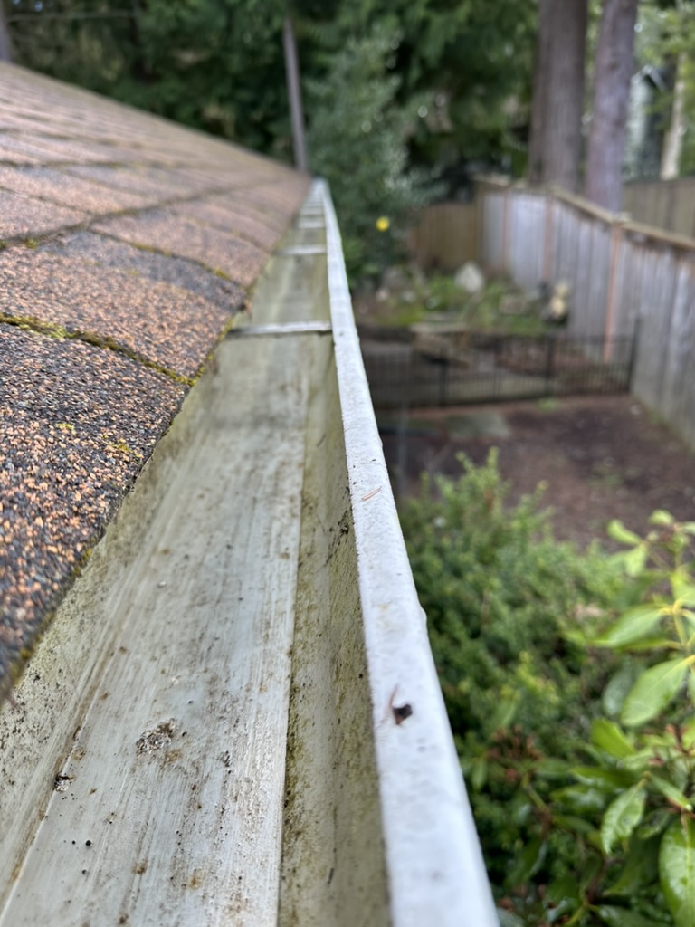Gutter — after, completely cleared and flowing