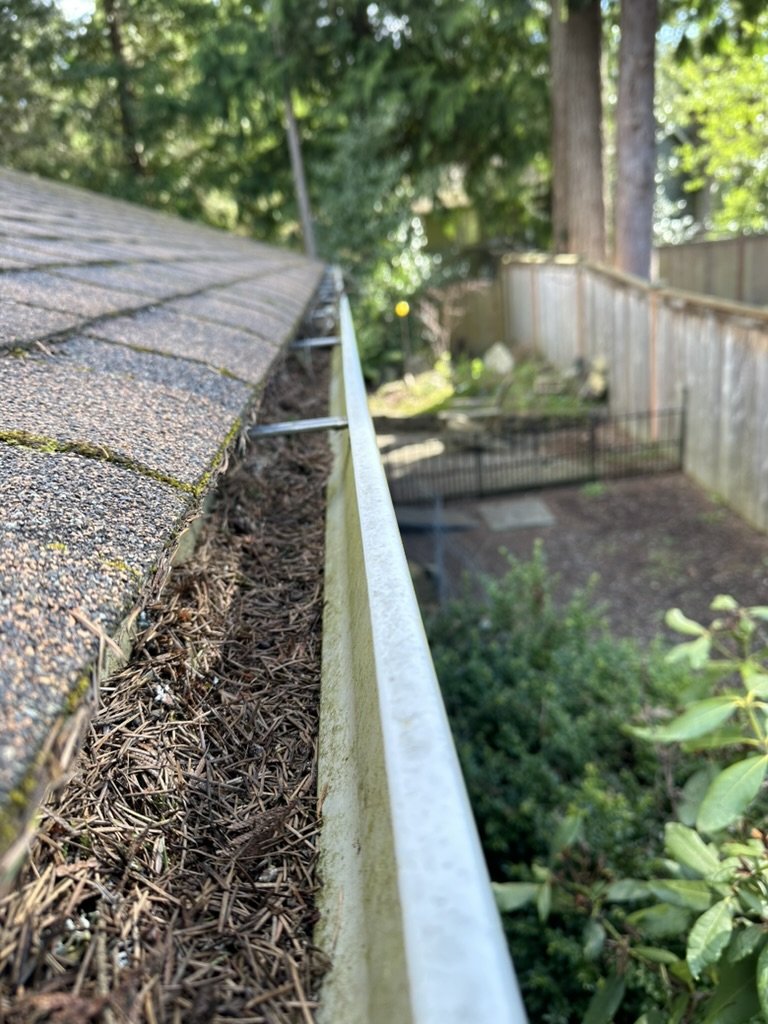 Gutter — before, packed with pine needles and debris