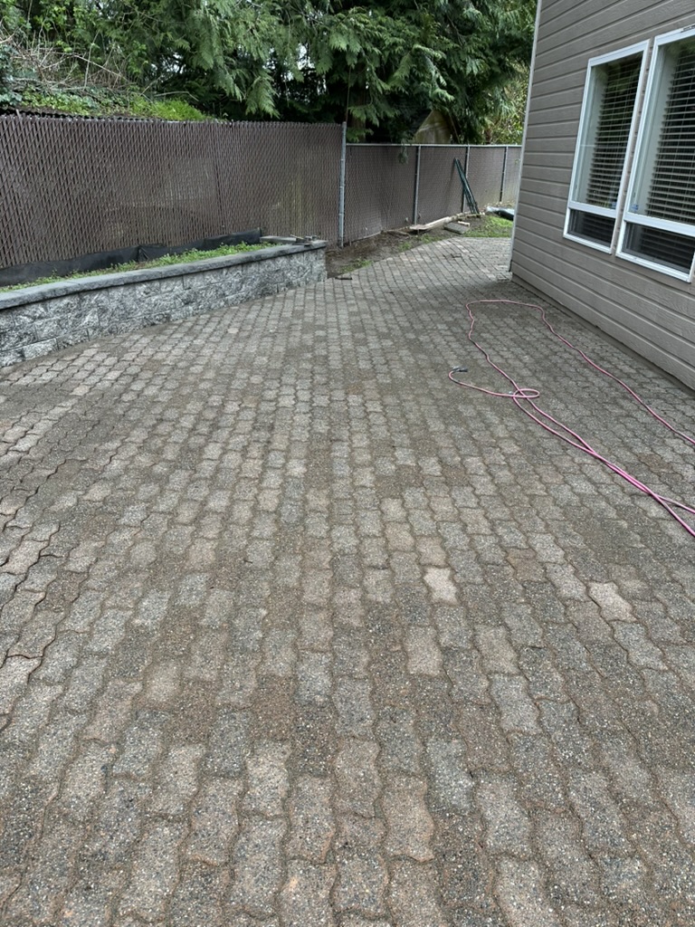 Backyard paver patio — after, stones revealed and cleaned