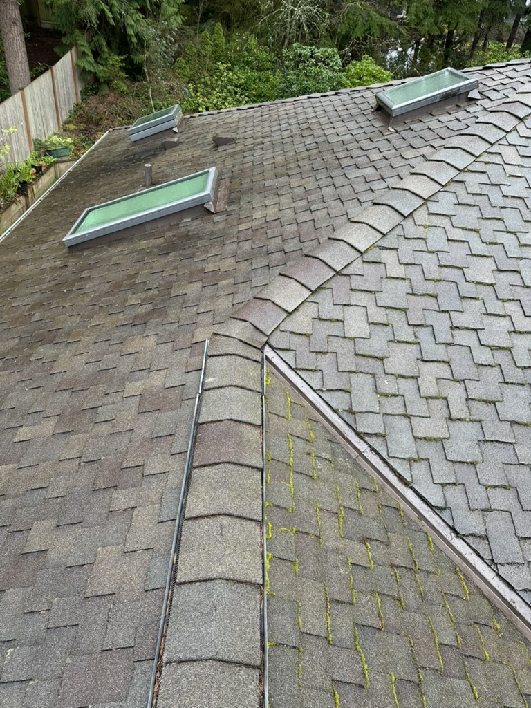 Roof — after, shingles fully cleared of debris