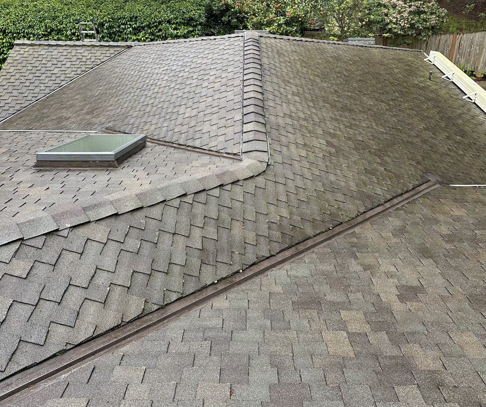 Large roof — after, fully cleared and restored