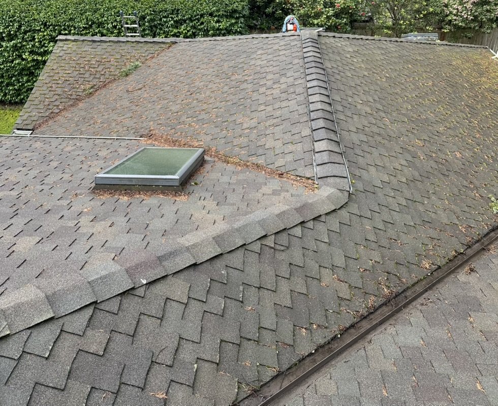 Large roof — before, covered in pine needles and moss in valleys